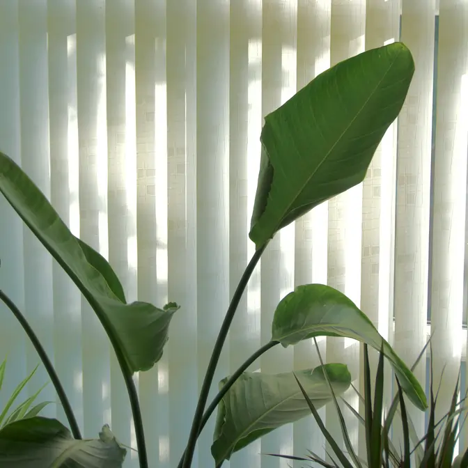 Żaluzje pionowe w gabinecie w Rumii