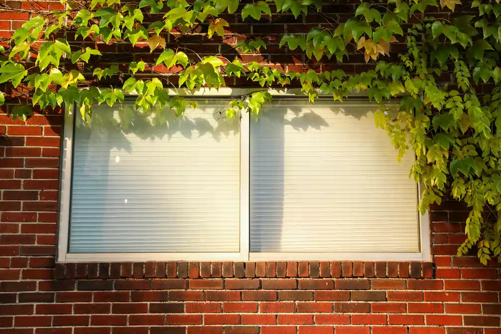 Widok z ulicy na okna z plisowanymi roletami w domu w Władysławowie